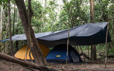 Teltan kanssa kohti Amazonin sademetsää