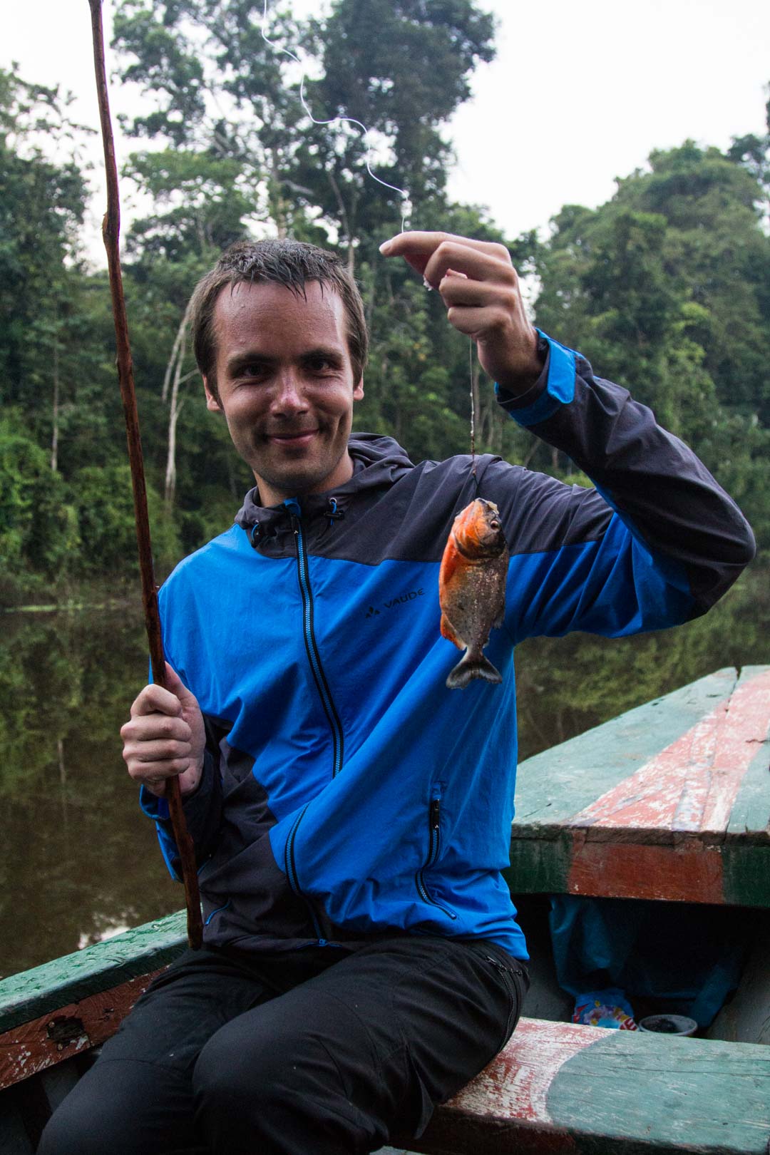 piraijoja kalastamassa Amazonin sademetsässä