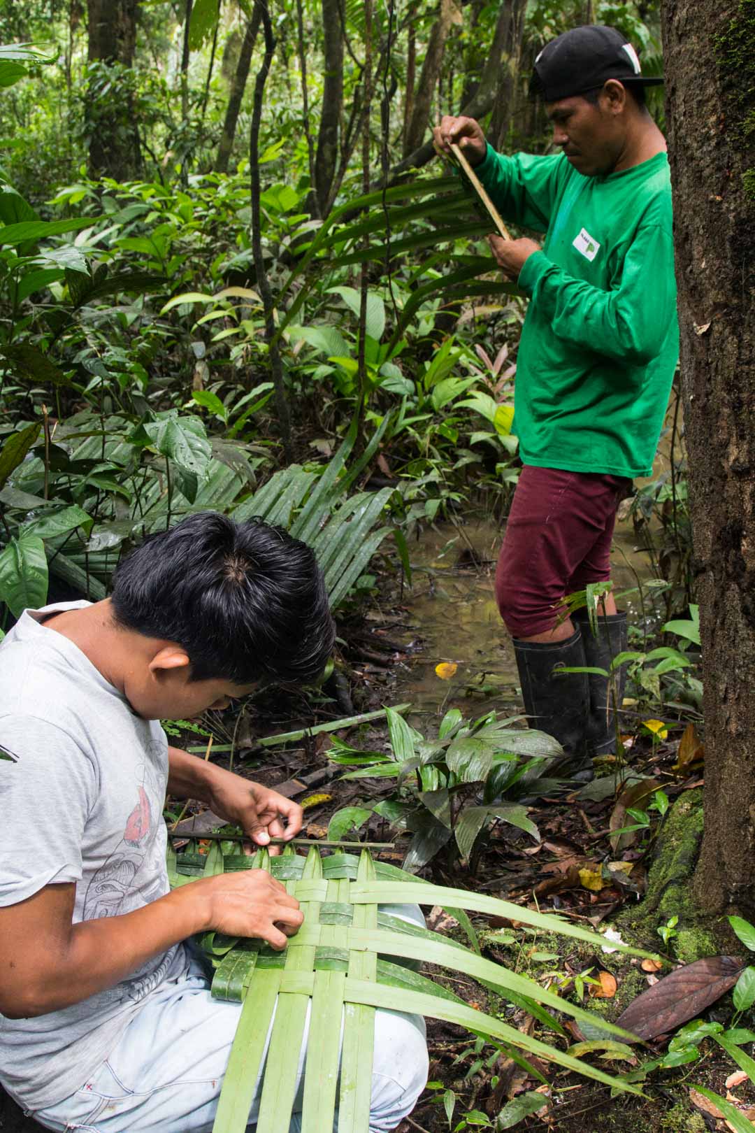 viuhkojen tekemistä Amazonin sademetsässä