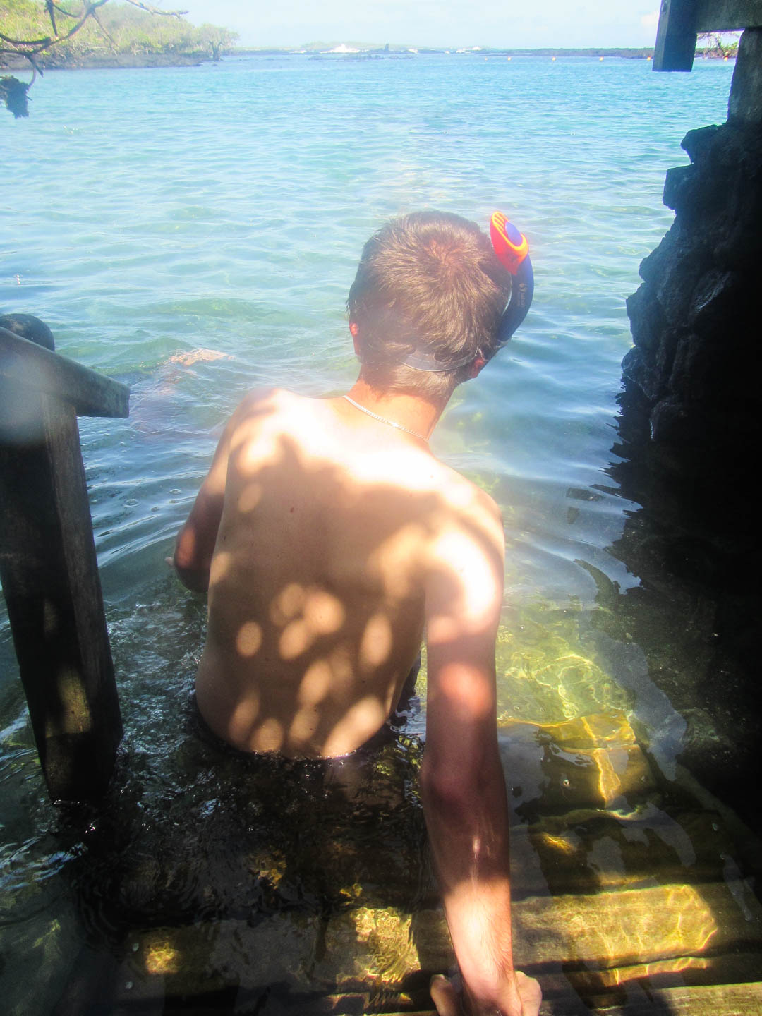 menossa snorklaamaan Isabela-saarella Galapagossaarella