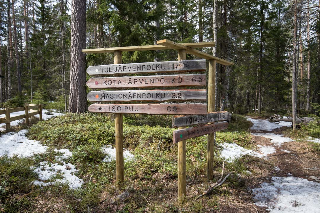 vaeltamassa Pyhä-Häkin kansallispuistossa