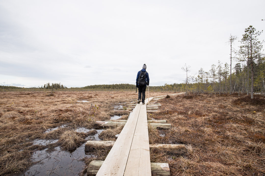 vaeltamassa suolla Pyhä-Häkin kansallispuistossa