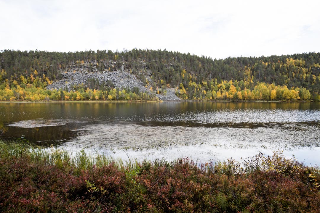 vaeltamassa ruska-aikaan Lemmenjoen kansallispuistossa Jokivarren retkeilyreitillä