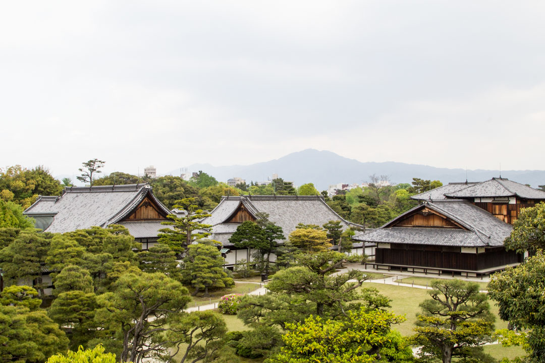 Nijon linna Kiotossa Japanissa