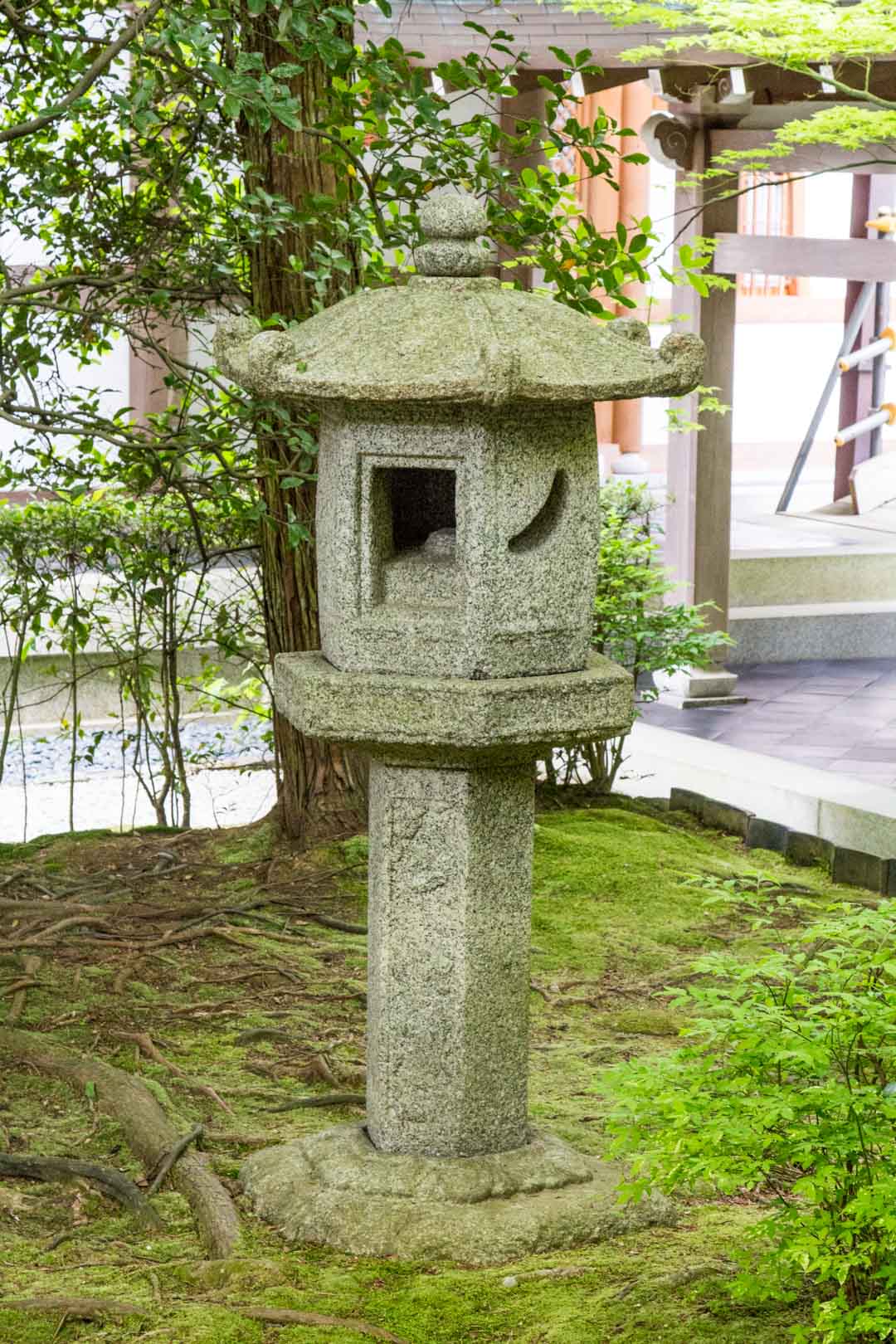 Ryoan-ji temppelin puutarhan yksityiskohta Kiotossa Japanissa