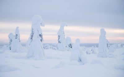 Riisitunturin kansallispuisto – Suomen kauneimmat tykkylumimaisemat