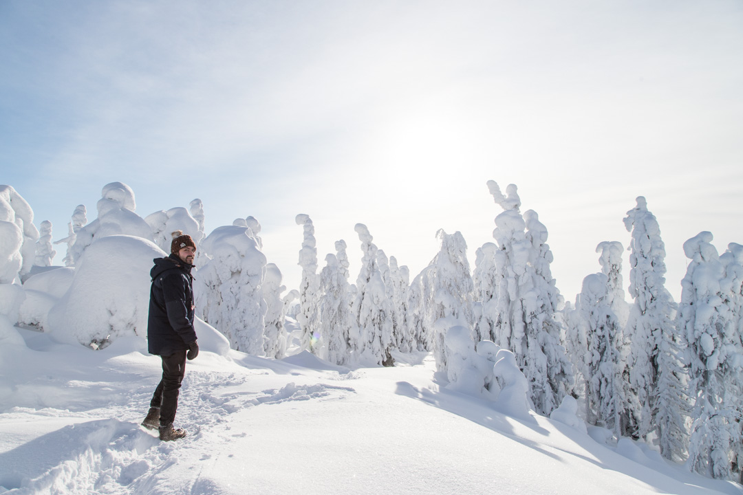 Huippujen kierros Kolin kansallispuistossa talvella