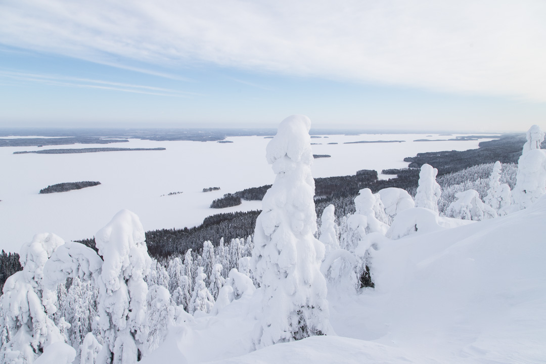 Ukko-Kolin näköalapaikalla Kolin kansallispuistossa talvella