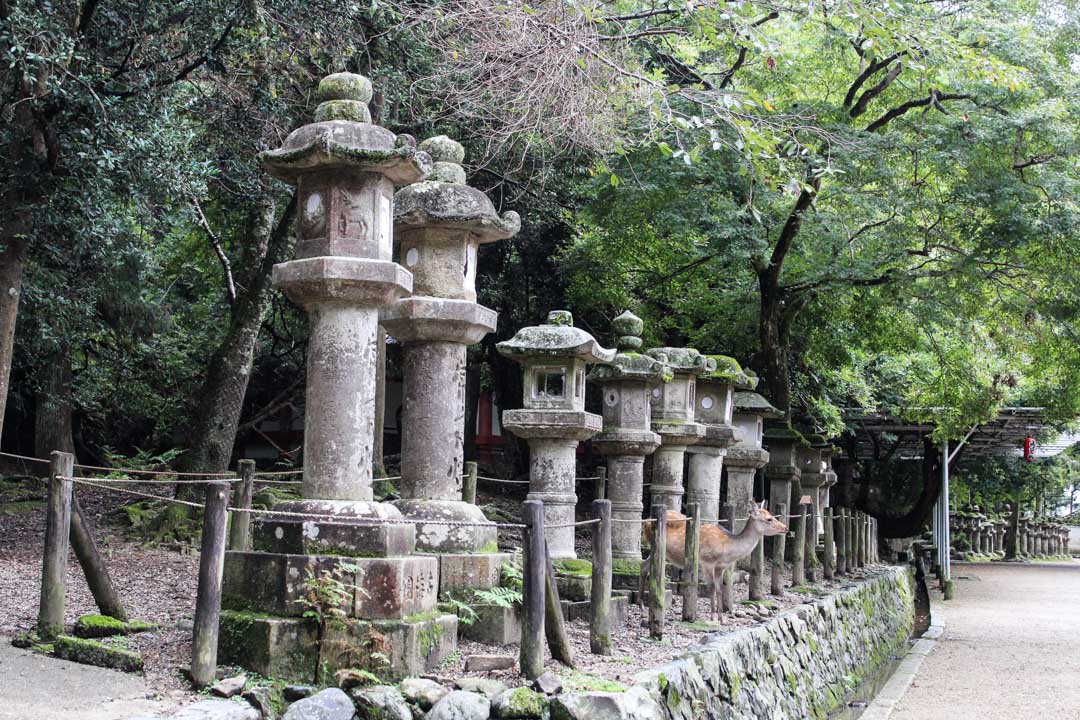 Kasuga Taishan pyhättö Narassa Japanissa