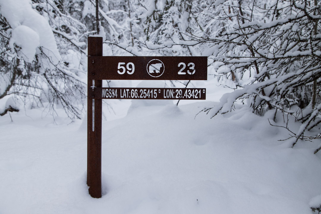 Pieni karhunkierros talvella Oulangan kansallispuistossa