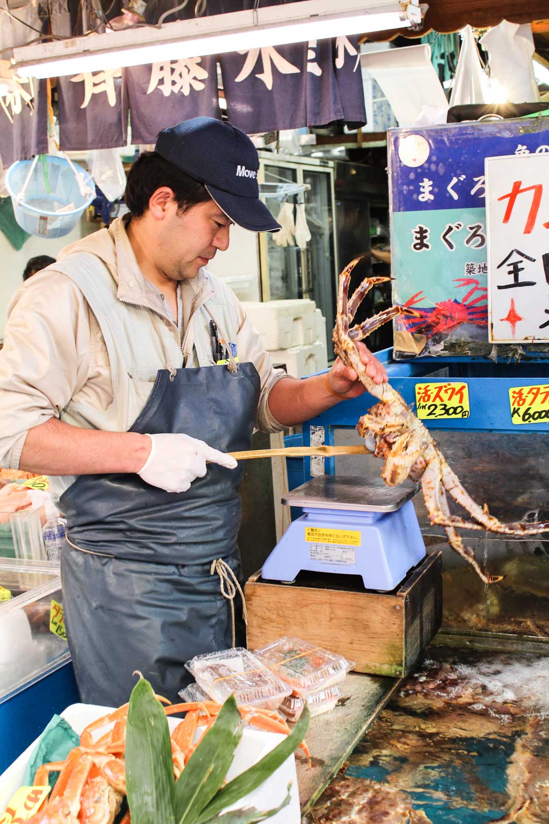 Tsukijin kalamarkkinat Tokio Japani