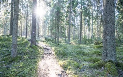 Seitsemisen kansallispuisto – Virkatie