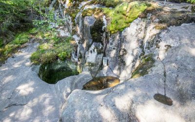 Askolan hiidenkirnut