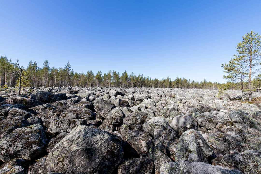 pirunpelto Salamajärven kansallispuistossa