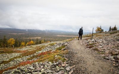 Pallas-Yllästunturin kansallispuisto – Kiirunankiepppi