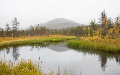 Pallas-Yllästunturin kansallispuisto – Kukastunturin kierros
