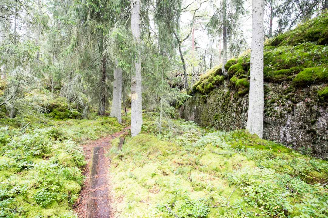 Jussarön luontopolku Tammisaaren kansallispuistossa
