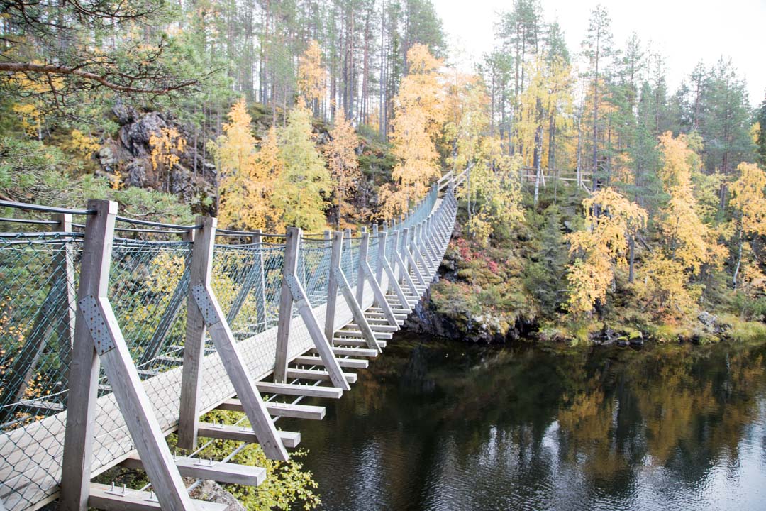 Niskakoski syksyllä ruska-aikaan Pienellä Karhunkierroksella Oulangan kansallispuistossa