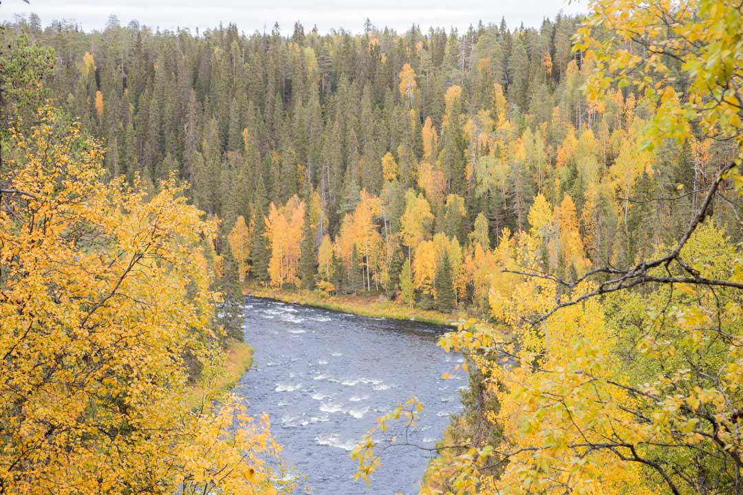 Pieni Karhunkierros syksyllä ruska-aikaan Oulangan kansallispuistossa