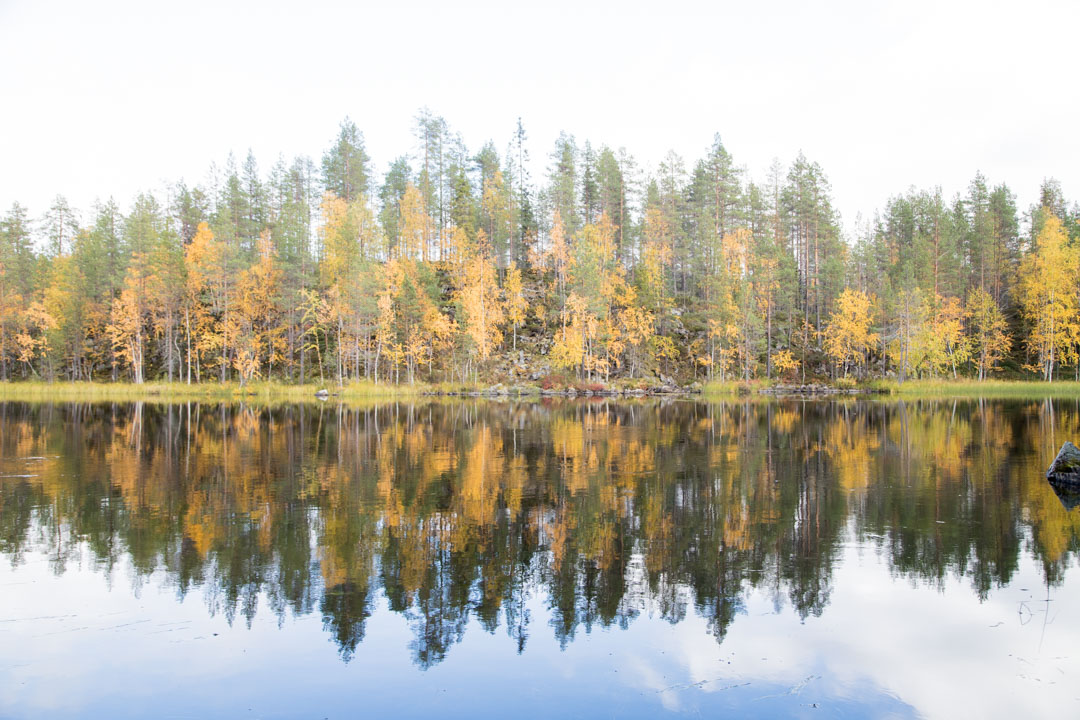 Pieni Karhunkierros syksyllä ruska-aikaan Oulangan kansallispuistossa