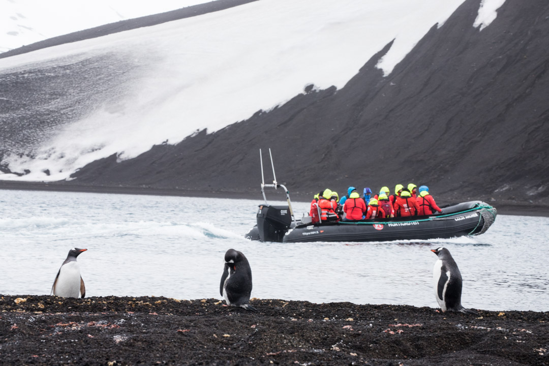 pingviinejä Etelämantereella