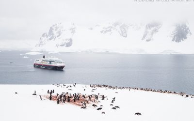 Aktiviteetit Etelämantereella