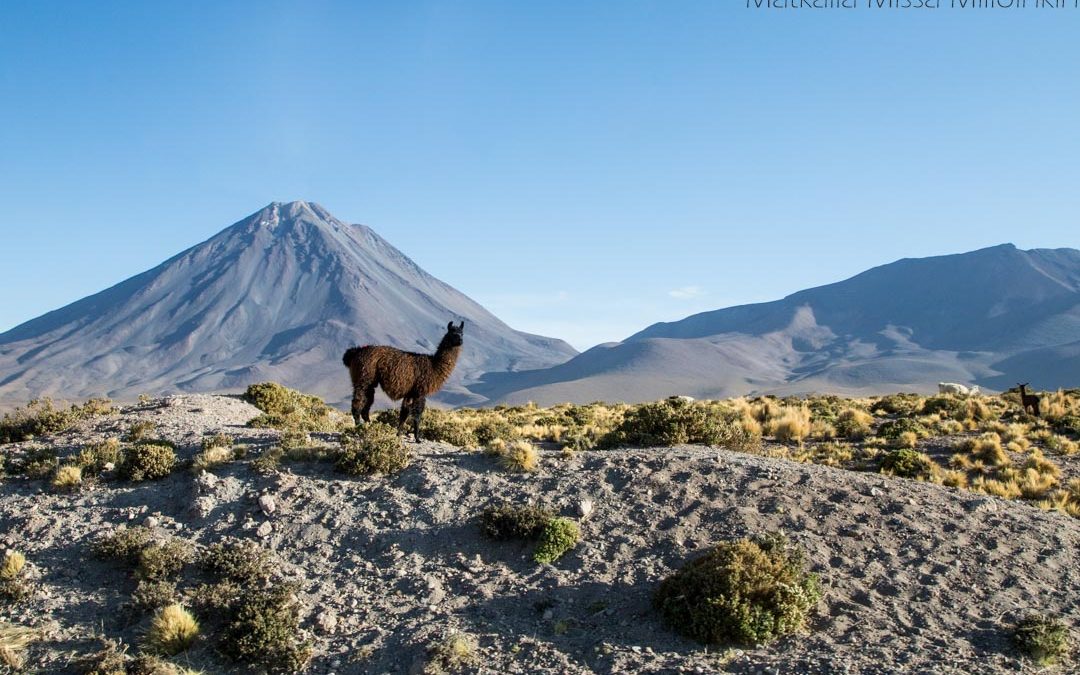 Salar de Uyuni – retki Andien vuoristomaisemissa