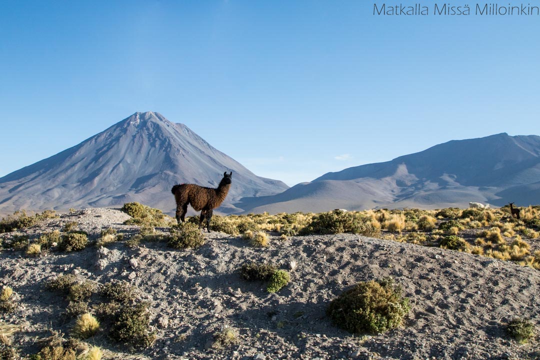 Salar de Uyuni Bolivia