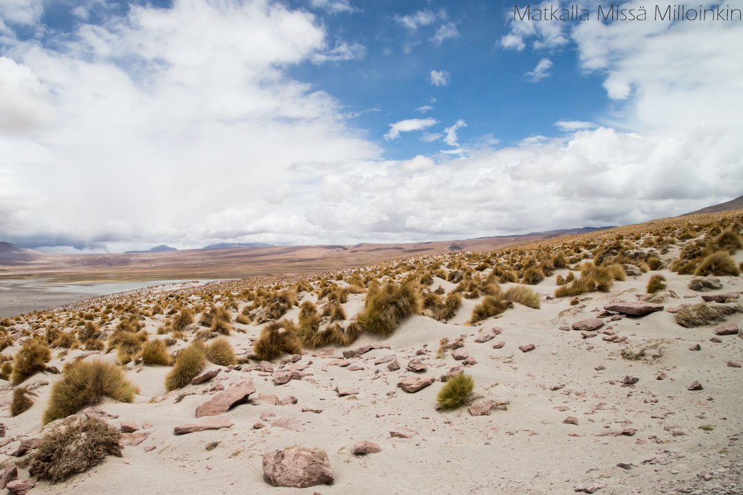 Salar de Uyuni Bolivia