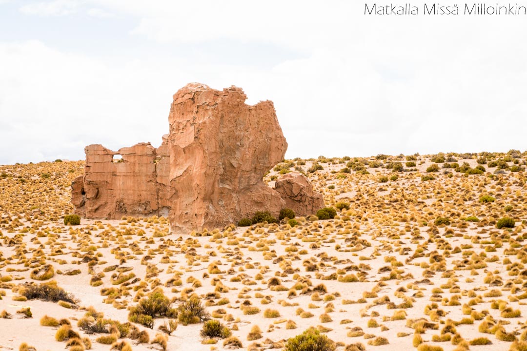 Salar de Uyuni Bolivia-29 Valle de Rocas, Salar de Uyuni Bolivia