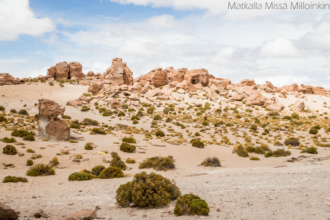 Salar de Uyuni Bolivia-31 Valle de Rocas, Salar de Uyuni Bolivia