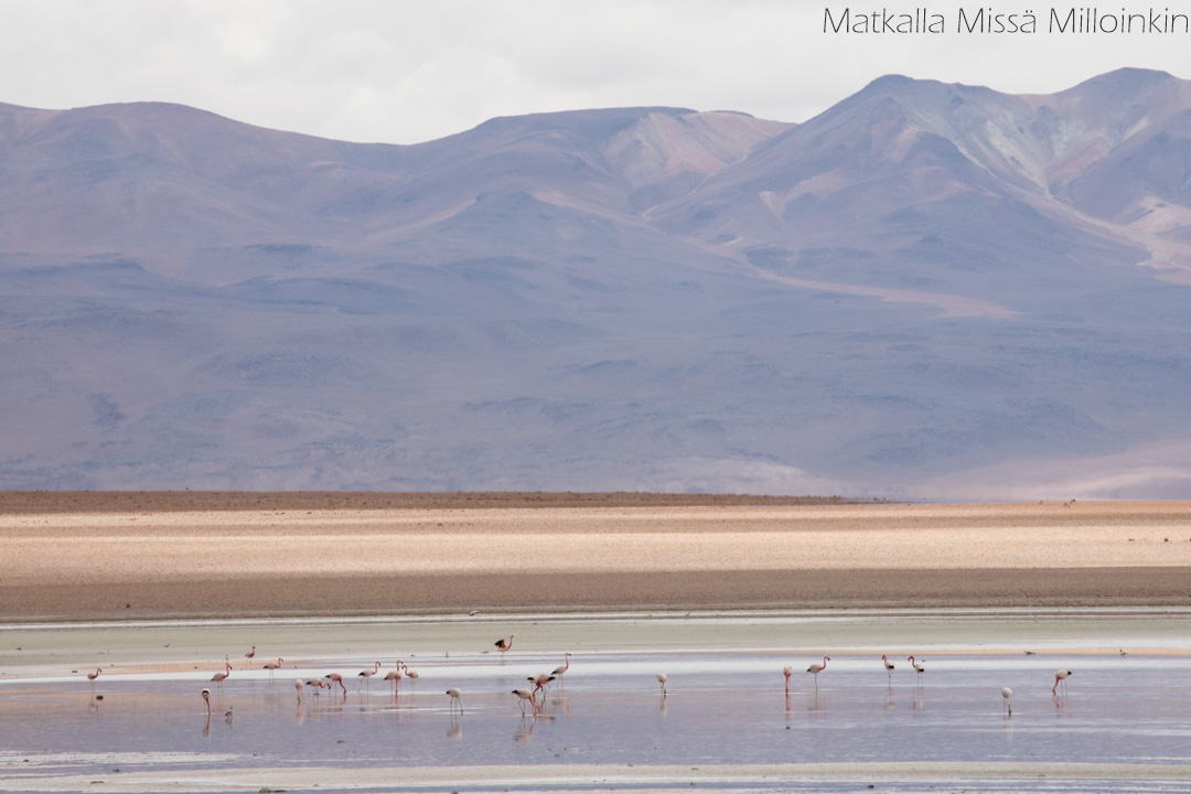 Laguuni Salar de Uyunissa Boliviassa