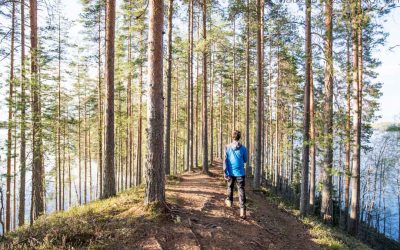 Leivonmäen kansallispuisto  – monipuolista Suomi-maisemaa