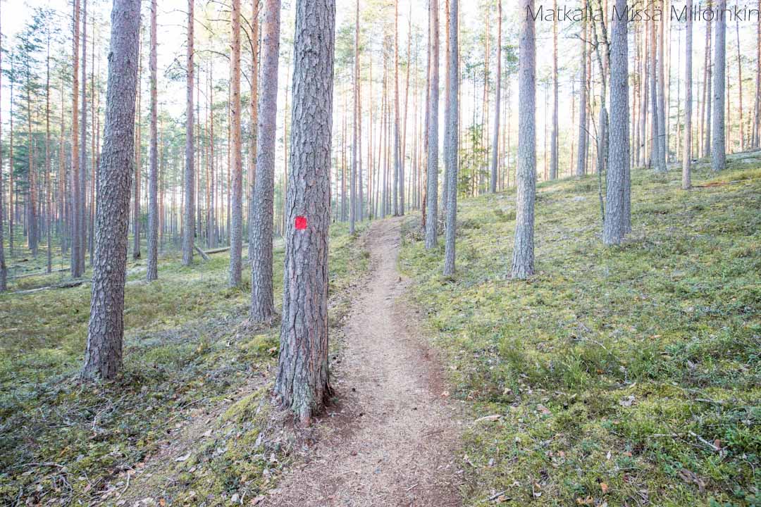 Leivonmäen kansallispuisto Harjunkierros