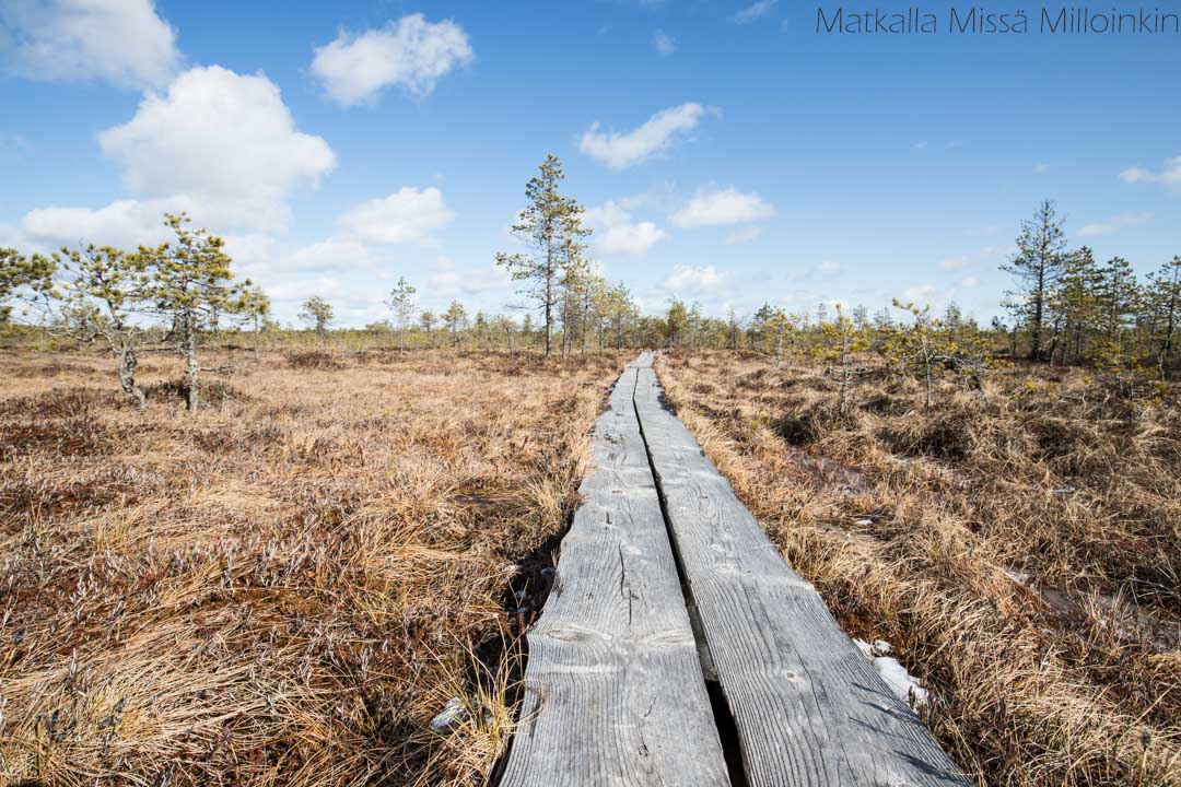 Leivonmäen kansallispuisto Kirveslammen kierros