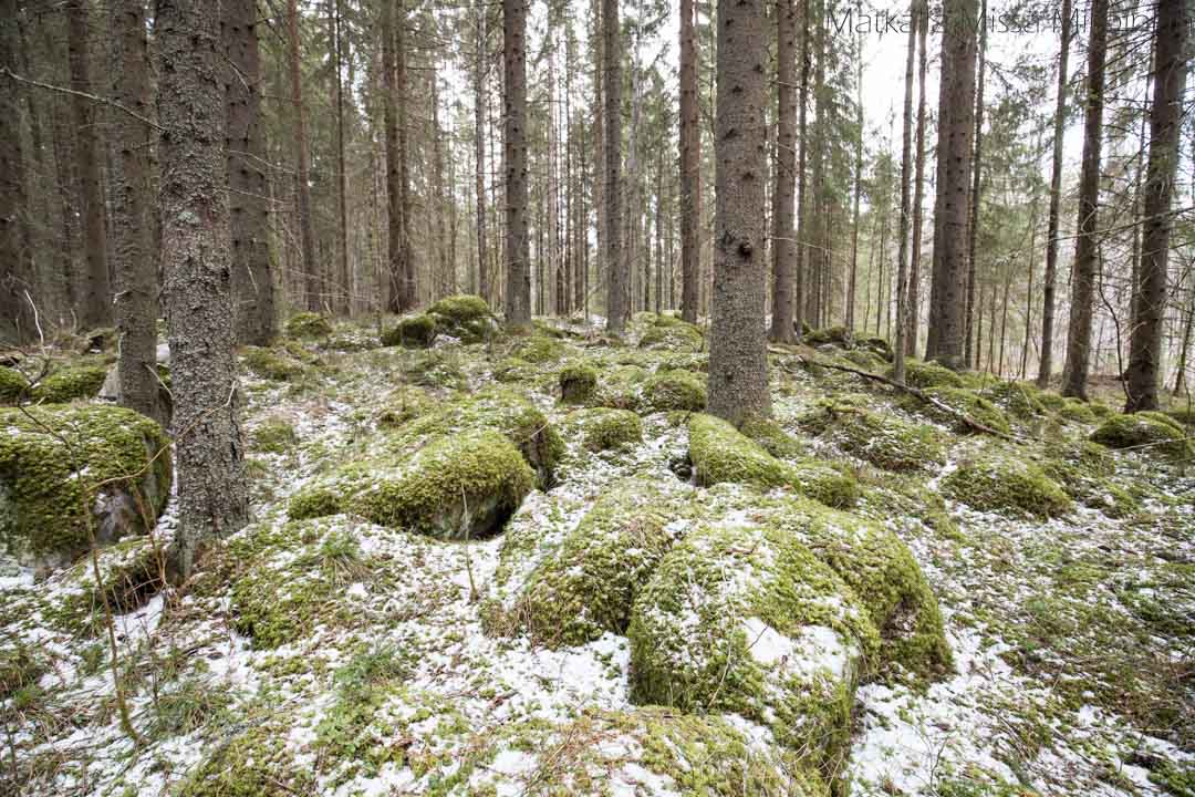 Leivonmäen kansallispuisto Koskikaran kierros