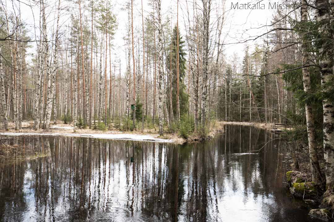 Leivonmäen kansallispuisto Koskikaran kierros