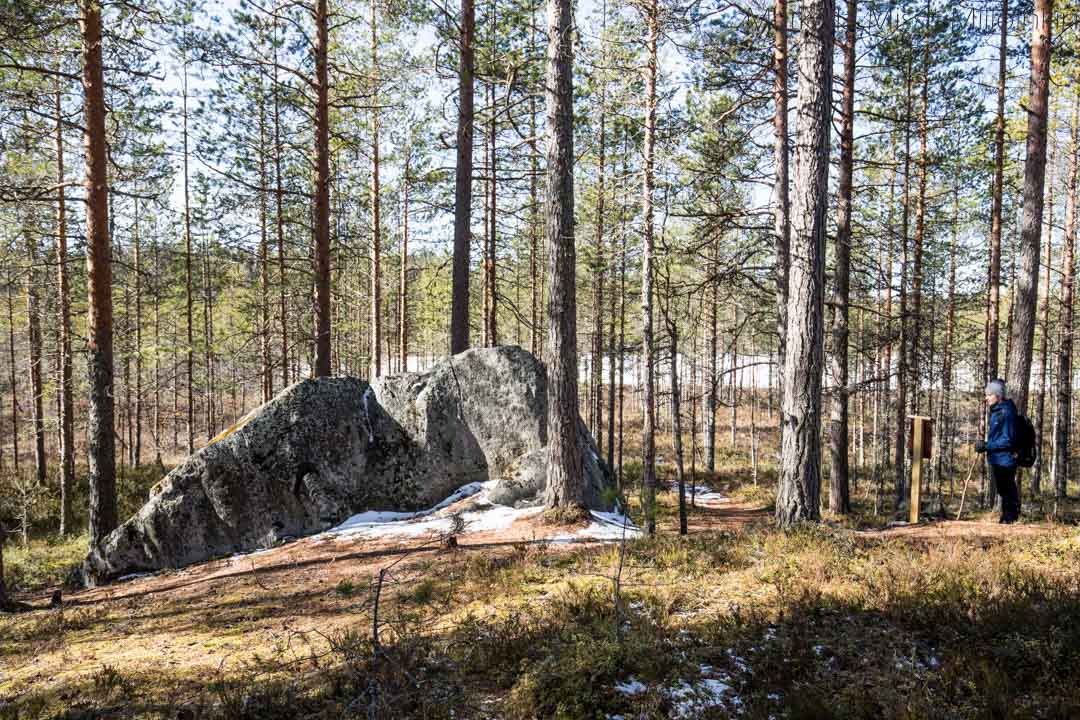 siirtolohkare Luupään lenkillä Leivonmäen kansallispuistossa