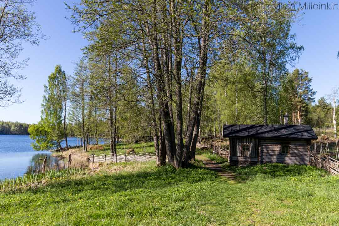 Linnansaaren kansallispuisto Sammakkoniemi