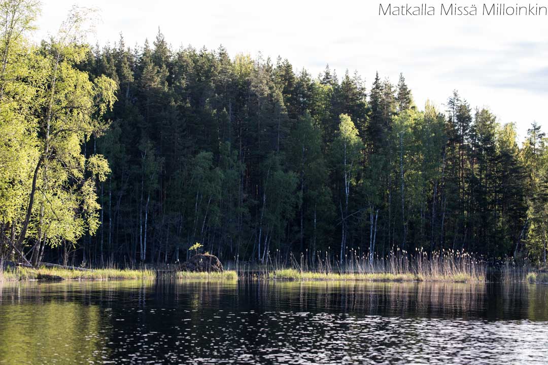 norppasafari Oravi Linnansaaren kansallispuisto