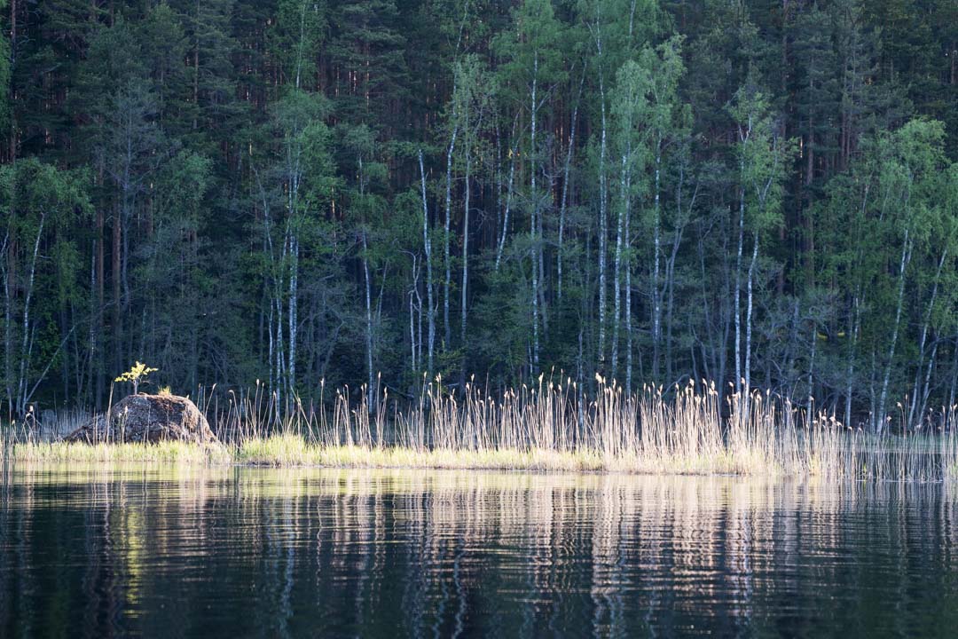 norppasafari Oravi-19 norppasafari Oravi Linnansaaren kansallispuisto