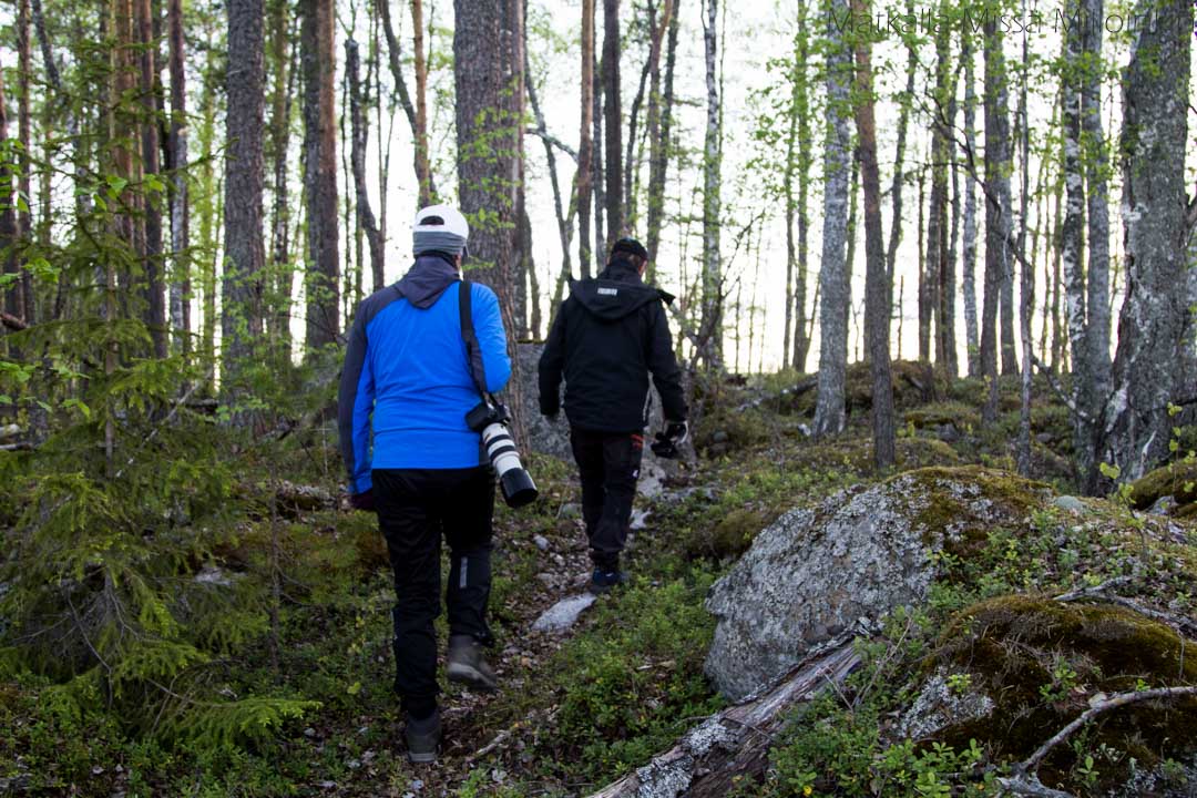 norppasafari Oravi-25 yksityisveneretki Oravi