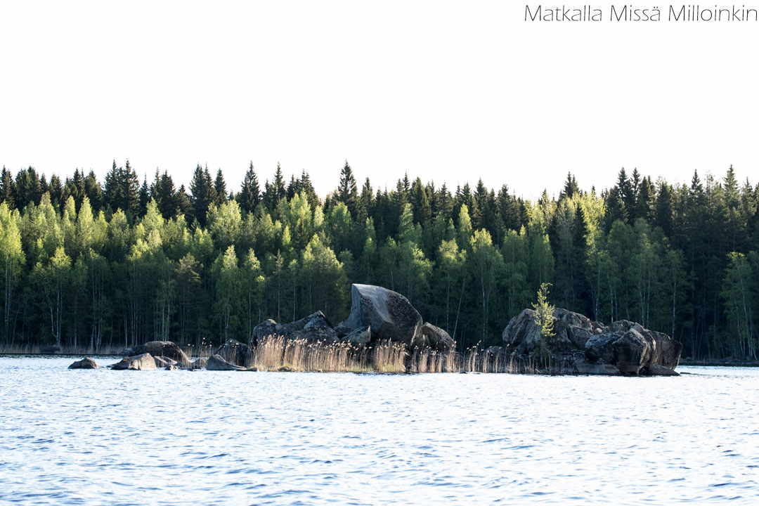 norppasafari Oravi-8 Linnansaaren kansallispuisto