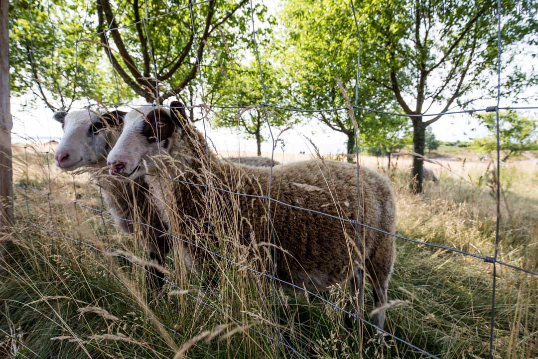 Katariinan Meripuisto Kotka