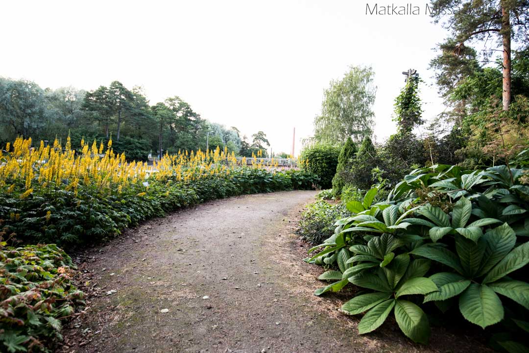 Sapokan vesipuisto Kotka