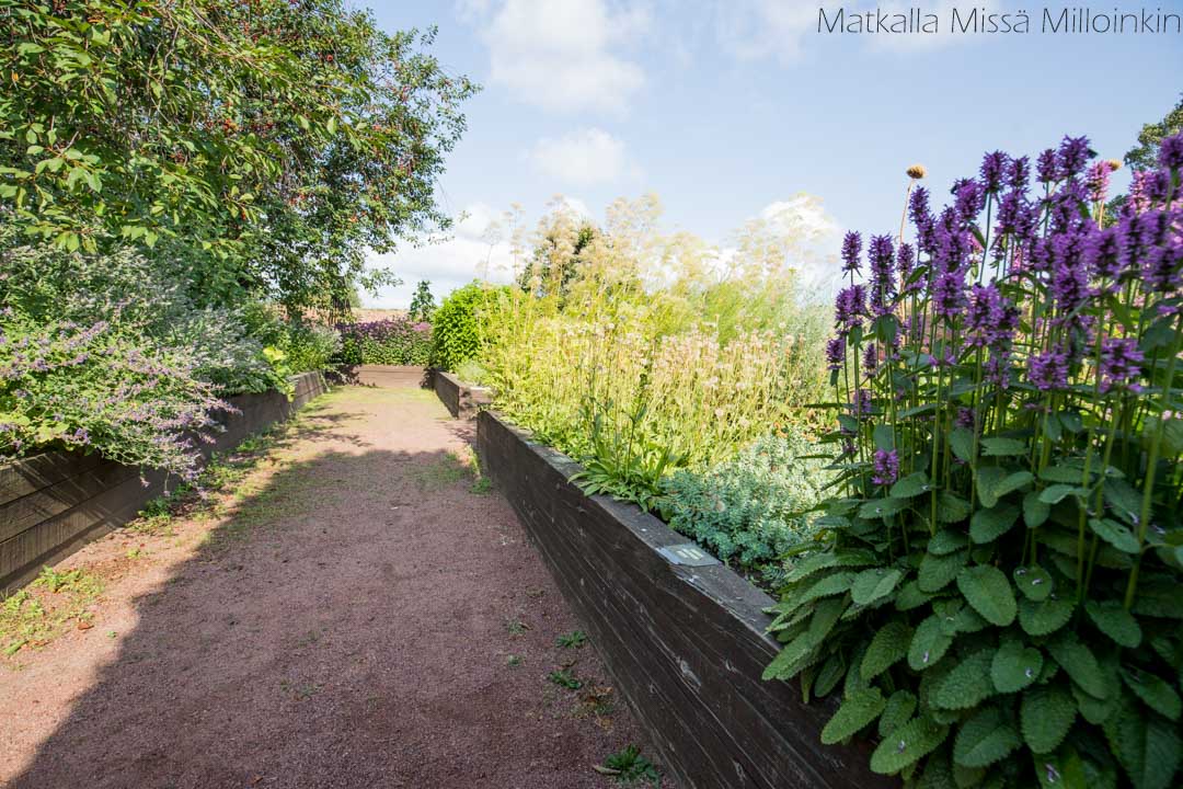 Yrttipuutarha Redutti Kotka