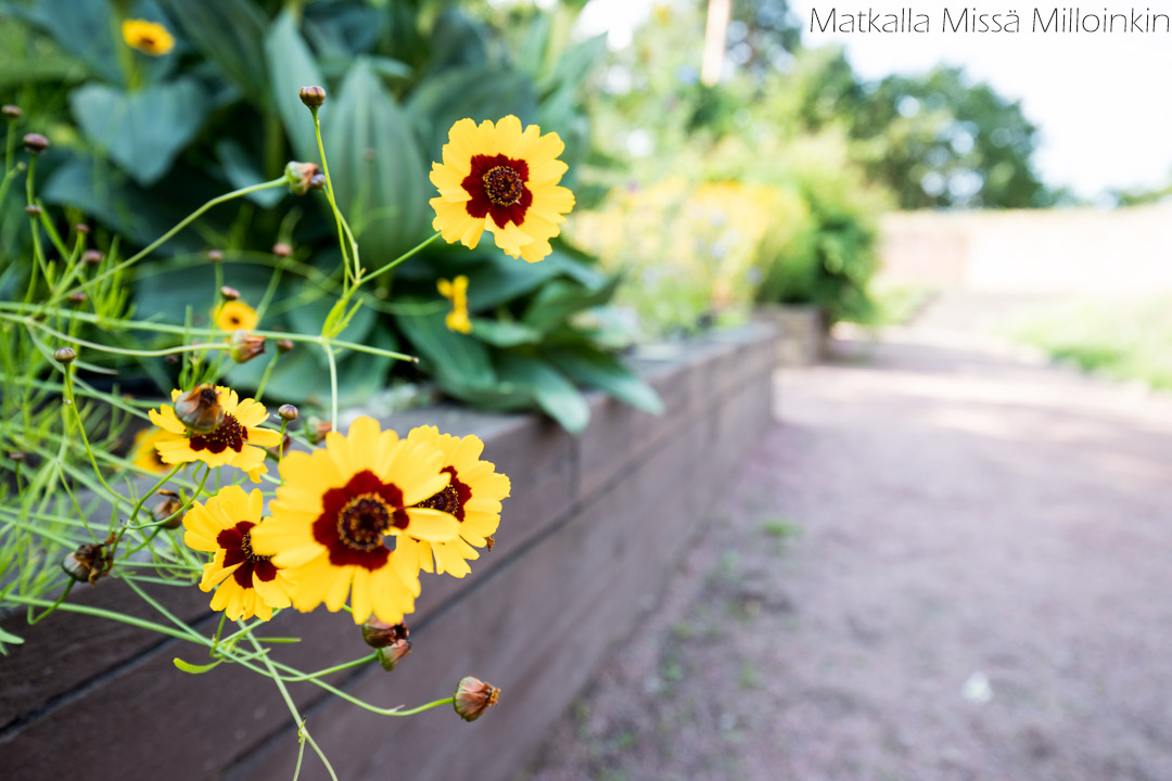 Yrttipuutarha Redutti Kotka