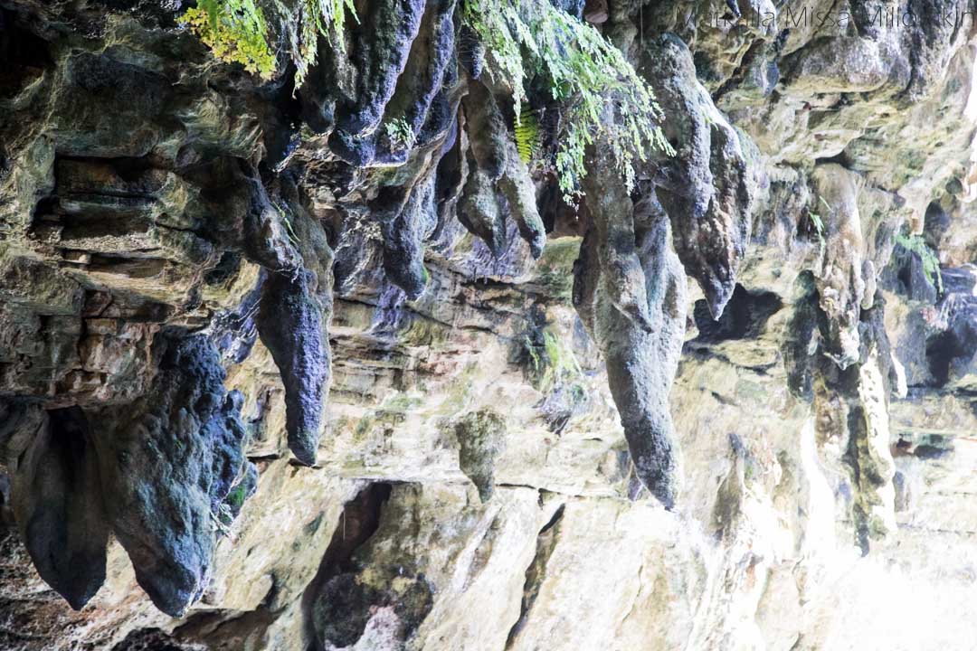 cenote Oxmanin kallioseinämää