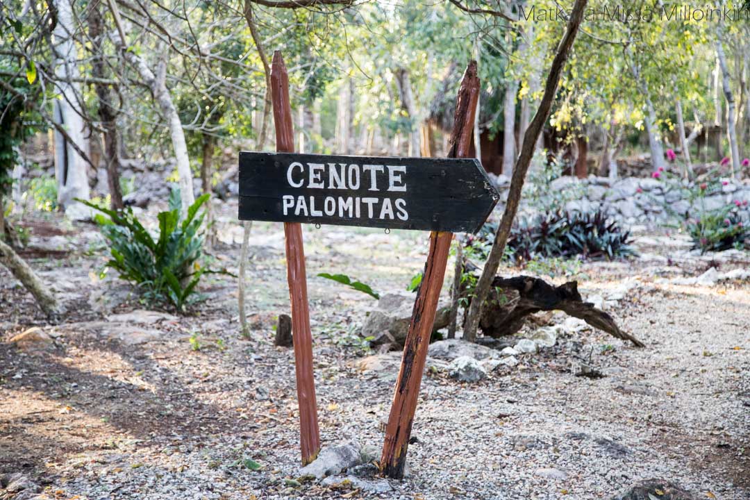opaskyltti cenote Palomitas