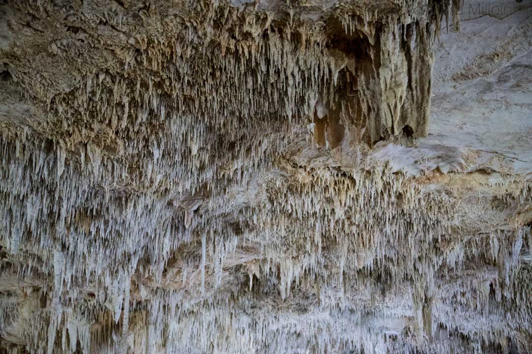 cenote Palomitaksen luolan katto